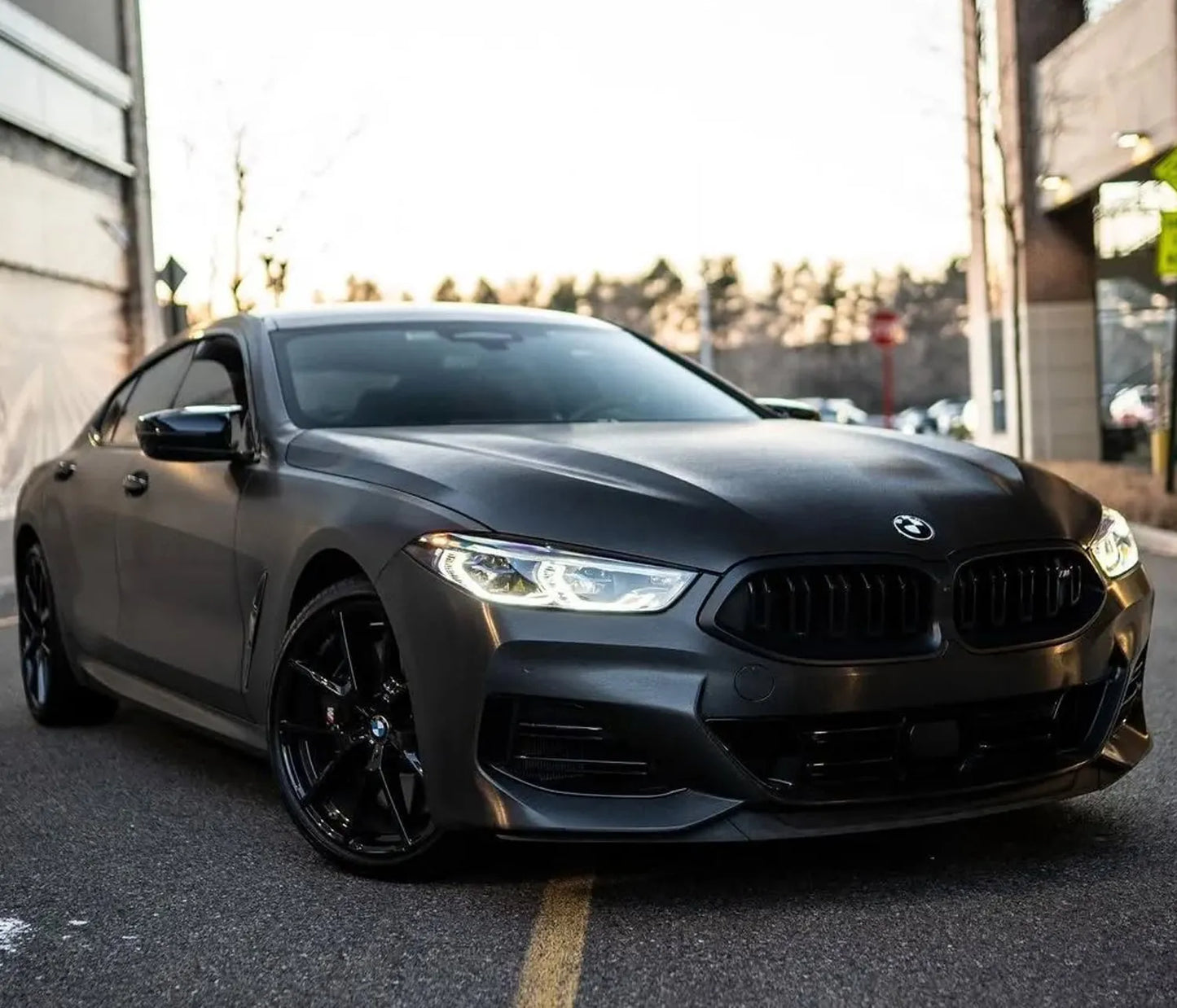 Standard Vehicle Stripe Kit - Dual 12"