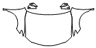 2023 Toyota Camry Hybrid Full Hood, Fender and Mirror Kit - PPF