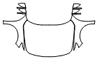 2021 Honda Accord LX Full Hood, Fender and Mirror Kit - PPF