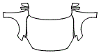 2016 Mazda MAZDA3 Full Hood, Fender and Mirror Kit