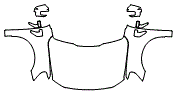 2023 Ford F-150 Full Hood, Fender and Mirror Kit - PPF