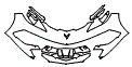 2025 Chevrolet Corvette Bumper Kit - PPF