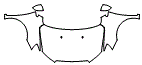 2015 Chevrolet Sonic Full Hood, Fender and Mirror Kit - PPF