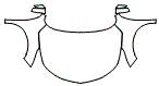 2024 Acura RDX Full Hood, Fender and Mirror Kit - PPF