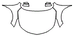 2022 Acura RDX Full Hood, Fender and Mirror Kit - PPF