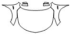 2024 Acura RDX Full Hood, Fender and Mirror Kit - PPF