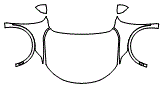 2023 Buick Envision Full Hood, Fender and Mirror Kit - PPF