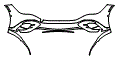 2023 Mercedes Benz EQE Sedan Bumper Kit - PPF
