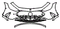 2024 Mercedes Benz AMG GT Bumper Kit - PPF