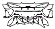 2019 McLaren 600LT Rear Bumper Kit - PPF