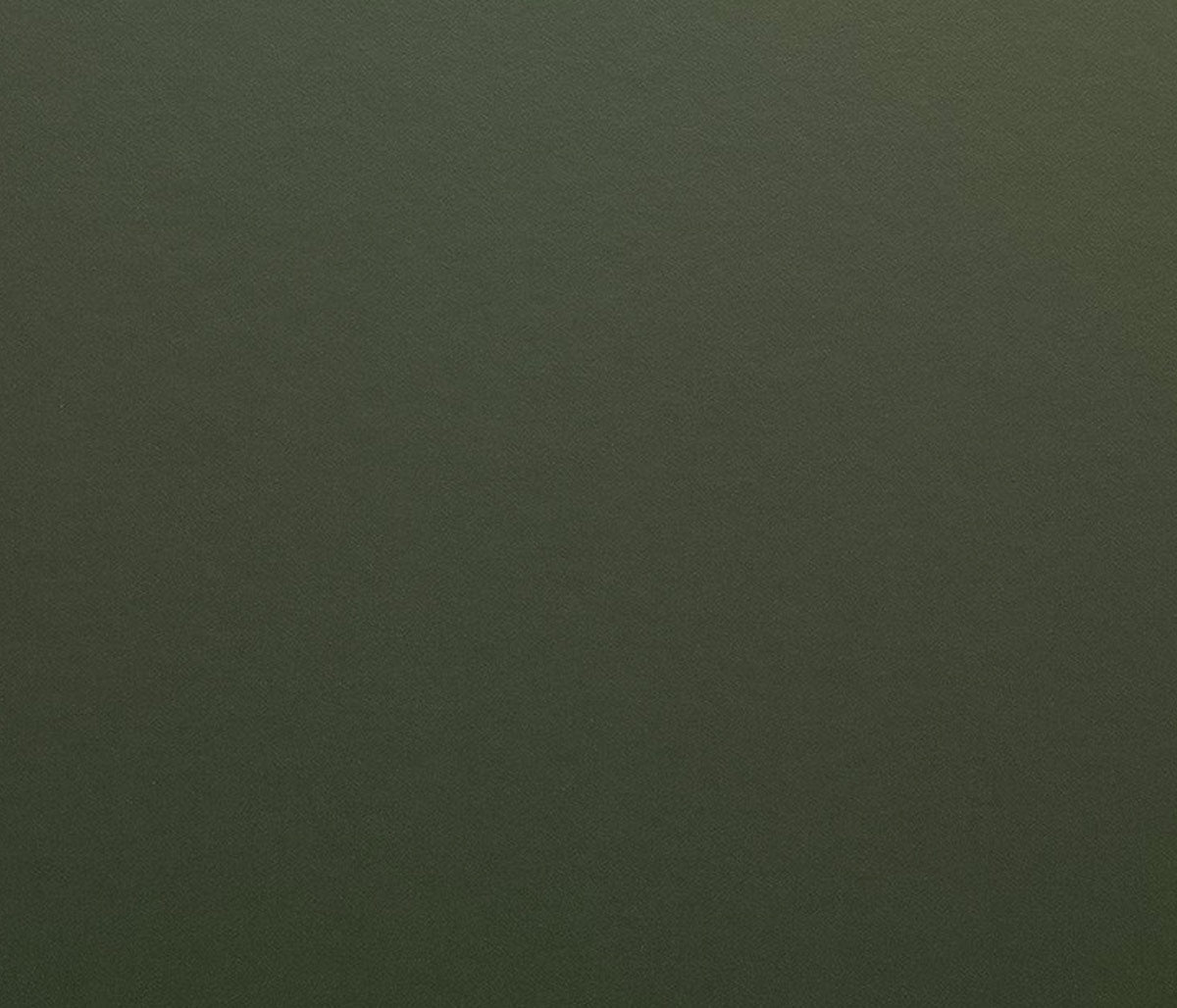 Avery Dennison SW900 Olive Green Matte Vinyl Wrap | SW900-732-O