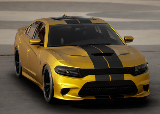 Standard Vehicle Stripe Kit - Dual 10" - Luxe Auto Concepts