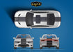 Standard Vehicle Stripe Kit - Single 20" - Luxe Auto Concepts