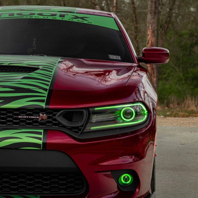 2015-2023 DODGE CHARGER RGBW DRL & DIFFUSED PROJECTOR HALO BUNDLE