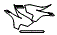 2026 TOYOTA TUNDRA CREWMAX LIMITED Headlamp and Fog Lamp Kit