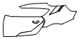 2021 Toyota GR Supra A91 Edition Rear Fender and Door Kit - PPF