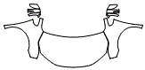 2025 Honda Odyssey EX-L Full Hood, Fender and Mirror Kit - PPF