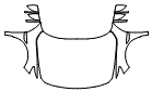 2021 Honda Accord Full Hood, Fender and Mirror Kit - PPF