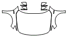 2021 Honda Accord Hybrid Full Hood, Fender and Mirror Kit - PPF