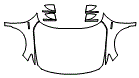 2021 Honda Accord Full Hood, Fender and Mirror Kit - PPF