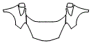 2011 Honda Fit Hood, Fender and Mirror Kit - PPF