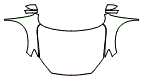 2013 Mazda CX-5 Sport Full Hood, Fender and Mirror Kit - PPF