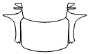 2022 Mazda MX-30 EV Base Full Hood, Fender and Mirror Kit - PPF