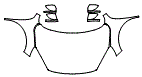 2022 Ford Escape S Full Hood, Fender and Mirror Kit - PPF