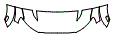 2021 Ford Ranger Fender and Hood Kit - PPF