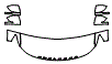 2024 Ford Explorer  ST Hood, Fender and Mirror Kit