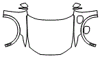 2022 Ford Mustang Mach-E Full Hood, Fender and Mirror Kit - PPF
