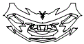 2022 Chevrolet Corvette  Coupe Bumper Kit - PPF