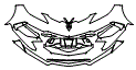 2022 Chevrolet Corvette  Coupe Bumper Kit - PPF