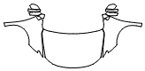 2023 Chrysler Pacifica Touring L Full Hood, Fender and Mirror Kit - PPF