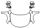 2024 Acura Integra Full Hood, Full Fender and Mirror Kit - PPF