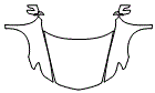 2012 Acura RL Full Hood, Fender and Mirror Kit - PPF