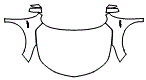 2022 Acura RDX Full Hood, Fender and Mirror Kit - PPF