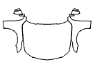 2022 Cadillac CT4 Full Hood, Fender and Mirror Kit - PPF