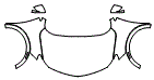 2022 Buick Encore GX Full Hood, Fender and Mirror Kit - PPF