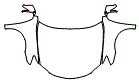 2012 Lexus ES 350 Hood, Fender and Mirror Kit - PPF
