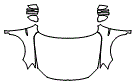 2016 Volkswagen Jetta Full Hood, Fender and Mirror Kit - PPF