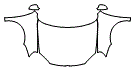2009 Volkswagen Jetta  SportWagon Hood, Fender and Mirror Kit - PPF