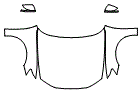 2021 Audi A6 Base Full Hood, Full Fender and Mirror Kit - PPF