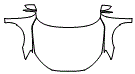 2025 Audi A3 S-Line Full Hood, Fender and Mirror Kit - PPF