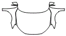 2022 Audi A3 Full Hood, Fender and Mirror Kit - PPF