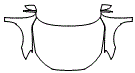 2025 Audi RS3 Full Hood, Fender and Mirror Kit - PPF