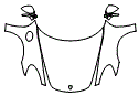 2021 Porsche 718 Full Hood, Fender and Mirror Kit - PPF