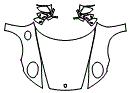 2022 Porsche 911 (992)  Cabriolet Full Hood, Fender and Mirror Kit - PPF