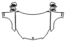 2012 Mercedes Benz E350  Sport Full Hood, Fender and Mirror Kit - PPF