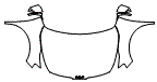 2025 Kia Sportage EX Full Hood, Fender and Mirror Kit - PPF